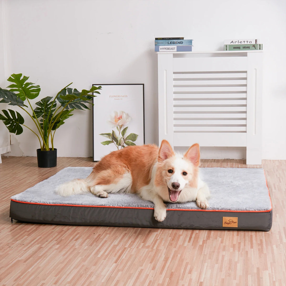 A collie lying on a grey foam mattress dog bed in a living room