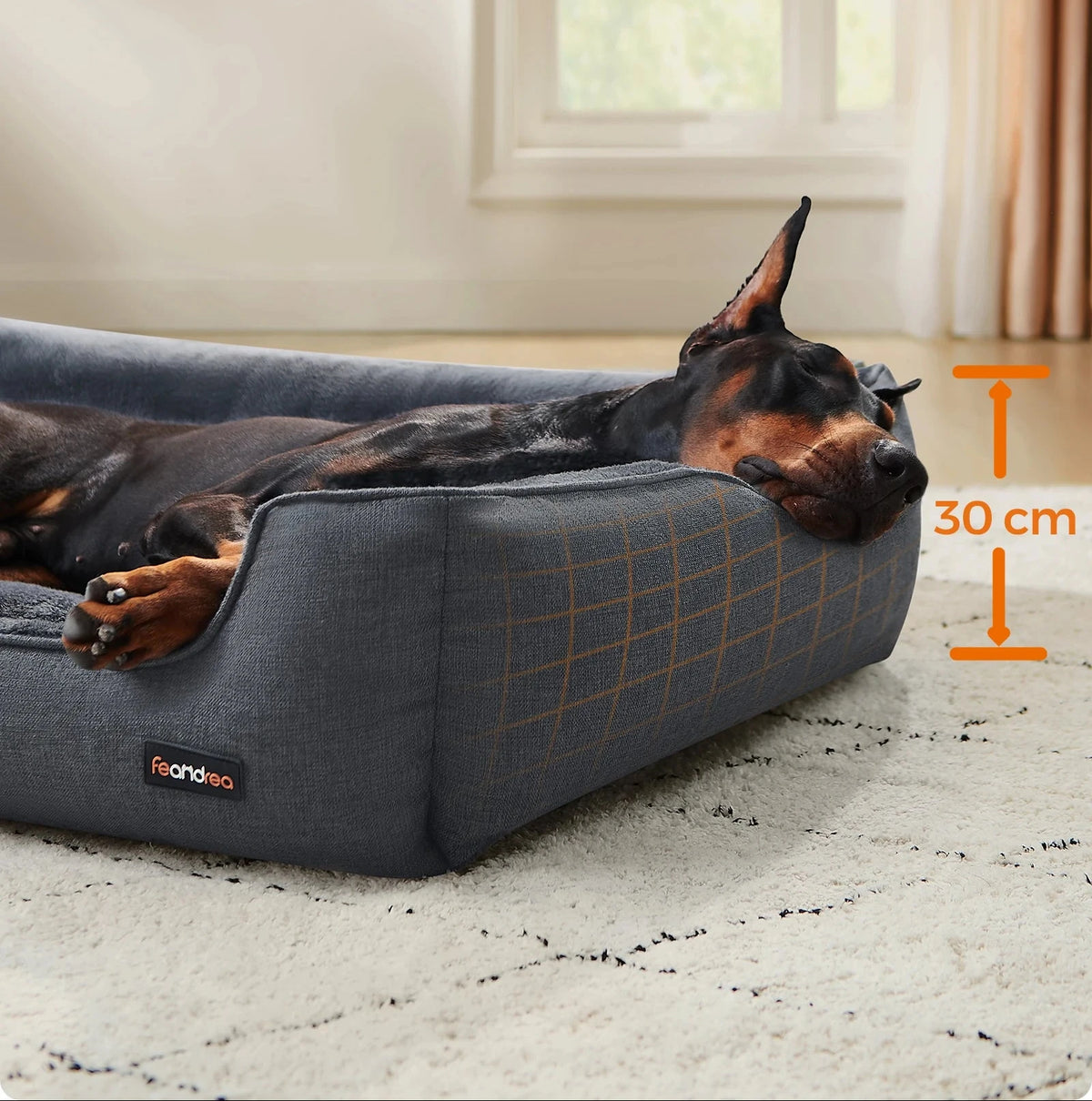 Doberman asleep with its head on the 30 cm high side of a dark grey dog bed on a patterned rug