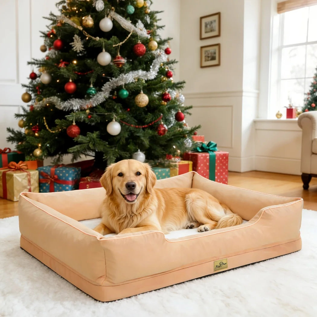 Golden retriever lying in a peach bolster dog bed on a white rug, in front of a decorated Christmas tree