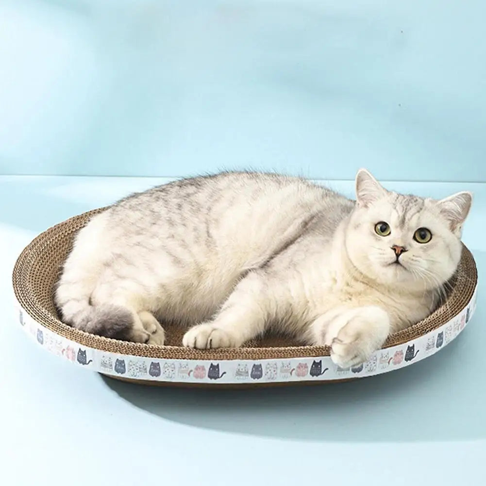 Silver-white cat lying in an oval cardboard cat scratcher bed with a cartoon cat band, on a pale blue background