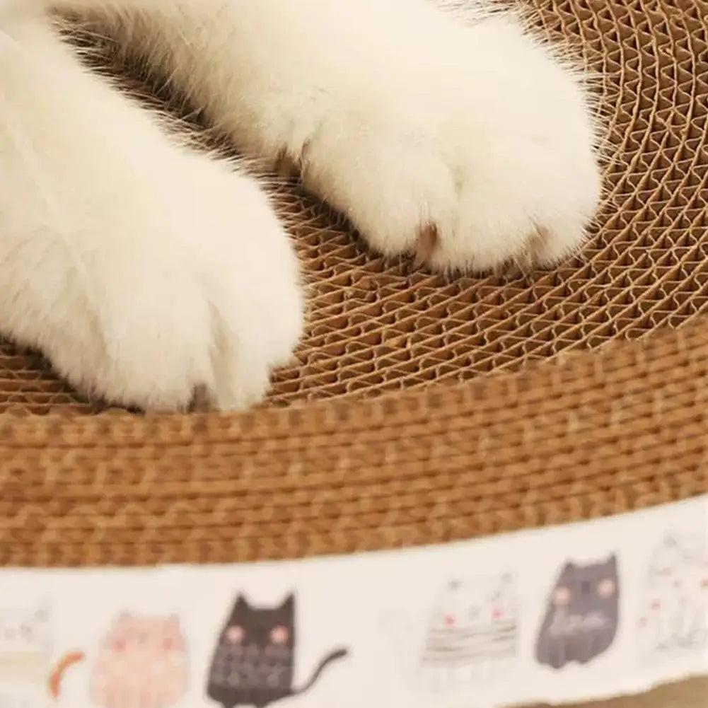 Close-up of a white cat's paws on the coiled corrugated cardboard surface, above the band of cartoon cats