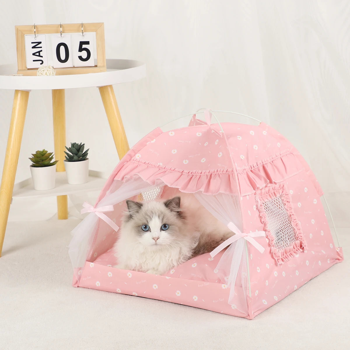 Fluffy ragdoll-type cat with blue eyes lying in a pink daisy-print cat tent bed with lace curtains, beside a small side table