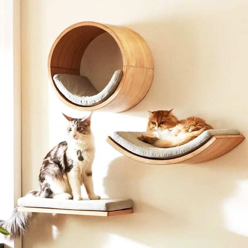 Wooden wall pod bed, curved bed and cushioned shelf on a sunny wall, a ginger cat and a tabby and white cat resting on them