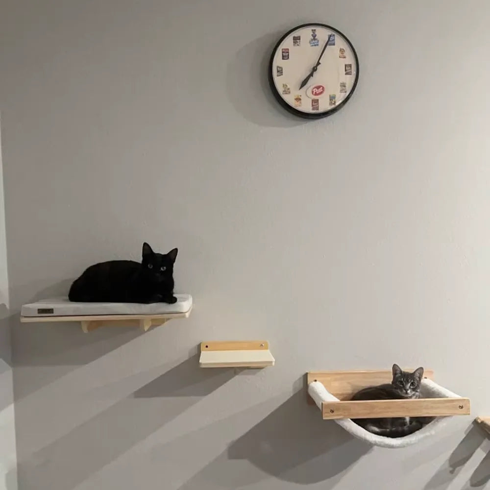 Wall shelves with a black cat on a cushioned shelf and a grey tabby cat in a white fleece hammock, a small step between them