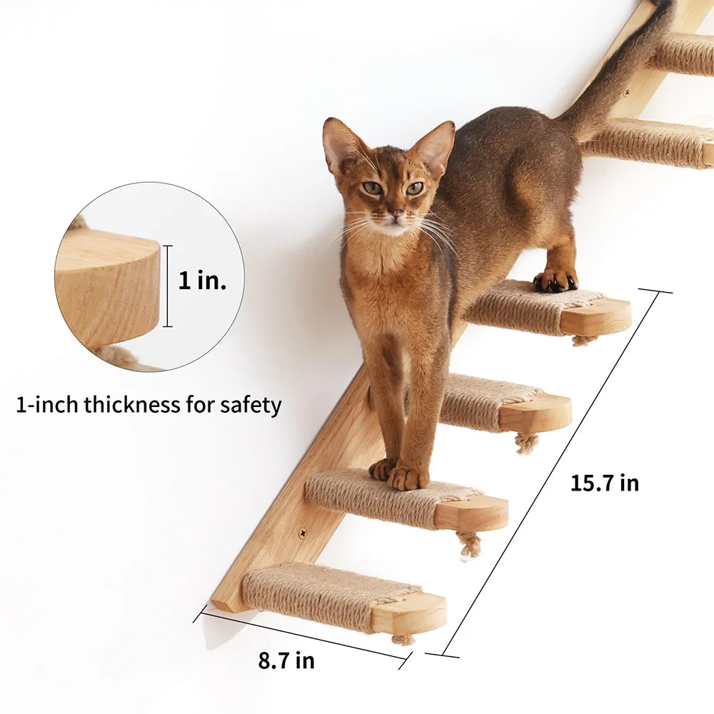 Slim ginger-brown cat walking down a wooden wall ladder with rope-wrapped steps, 15.7 in by 8.7 in, steps 1 in thick