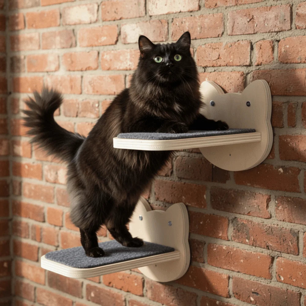 Two natural wood cat wall steps with grey felt pads on a brick wall, a long-haired black cat standing on them