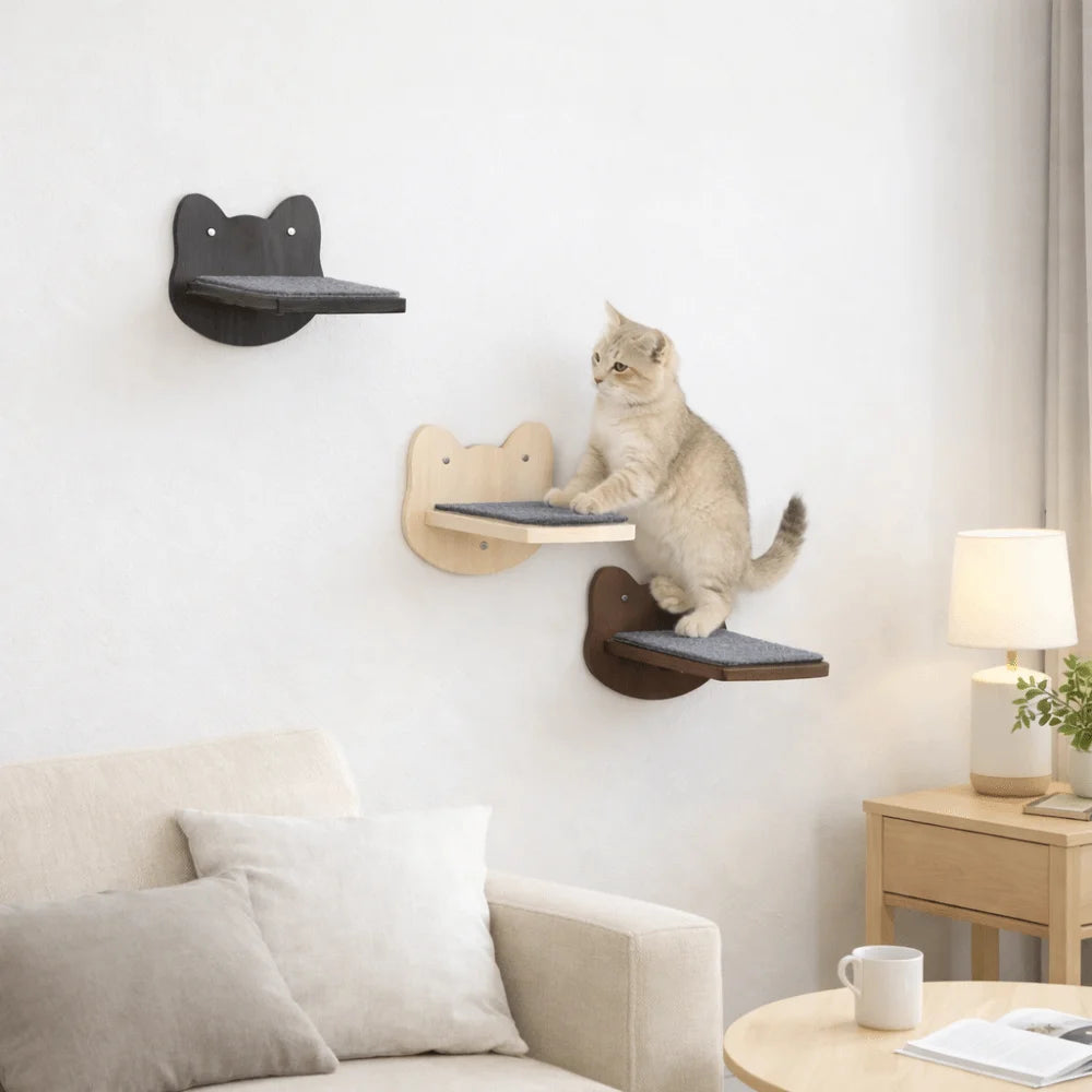 Three cat wall steps in black, natural wood and brown on a white wall, a cream cat climbing between them