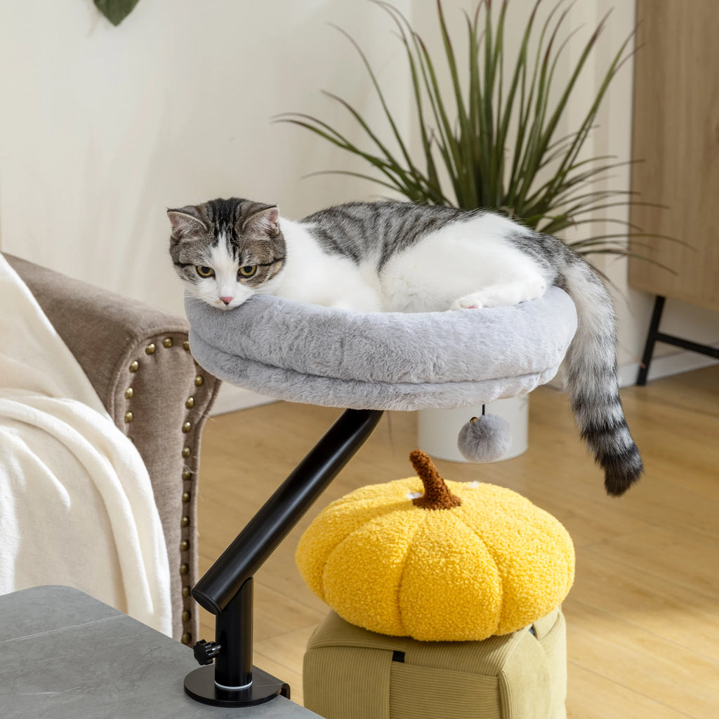 Tabby and white cat lying in a grey plush desk clamp cat bed fixed to the edge of a table beside an armchair