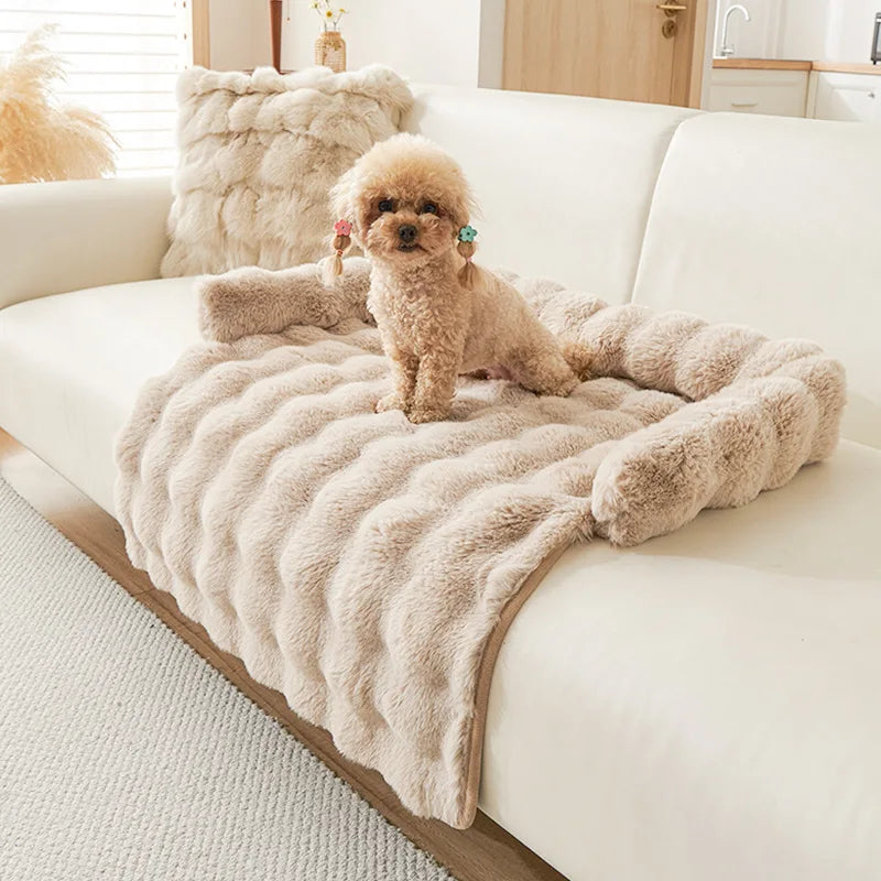 Beige faux fur sofa pad in ribbed long plush with a bolster, a small apricot poodle sitting on a cream sofa