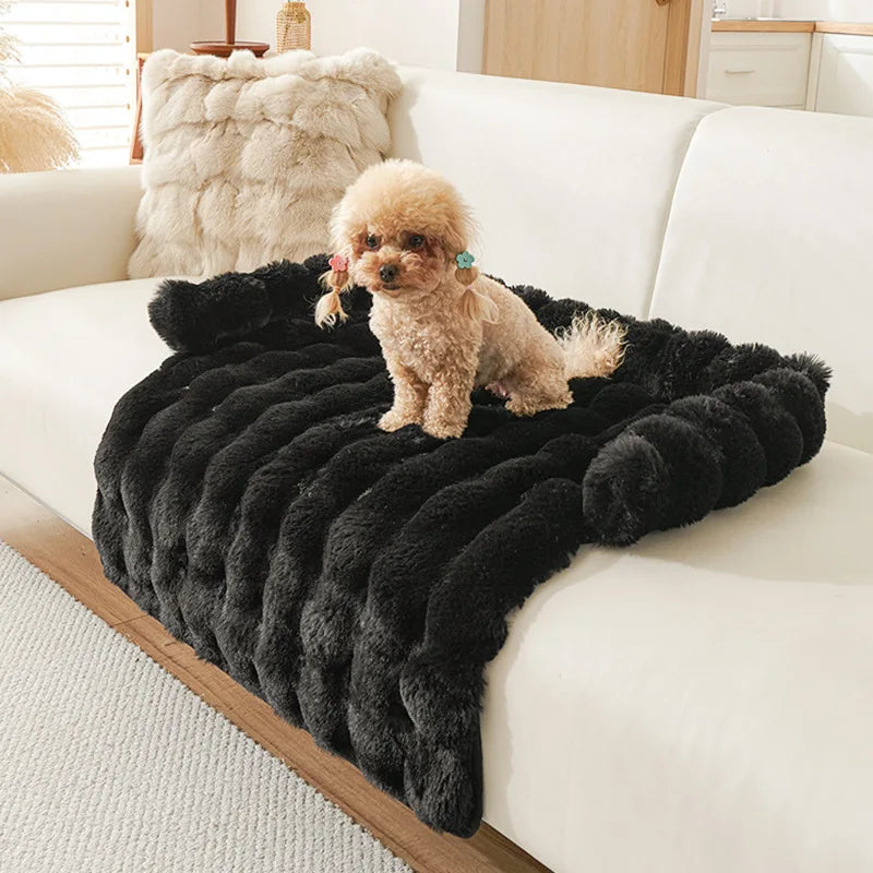 Black faux fur sofa pad in ribbed long plush with a bolster, a small apricot poodle sitting on a cream sofa