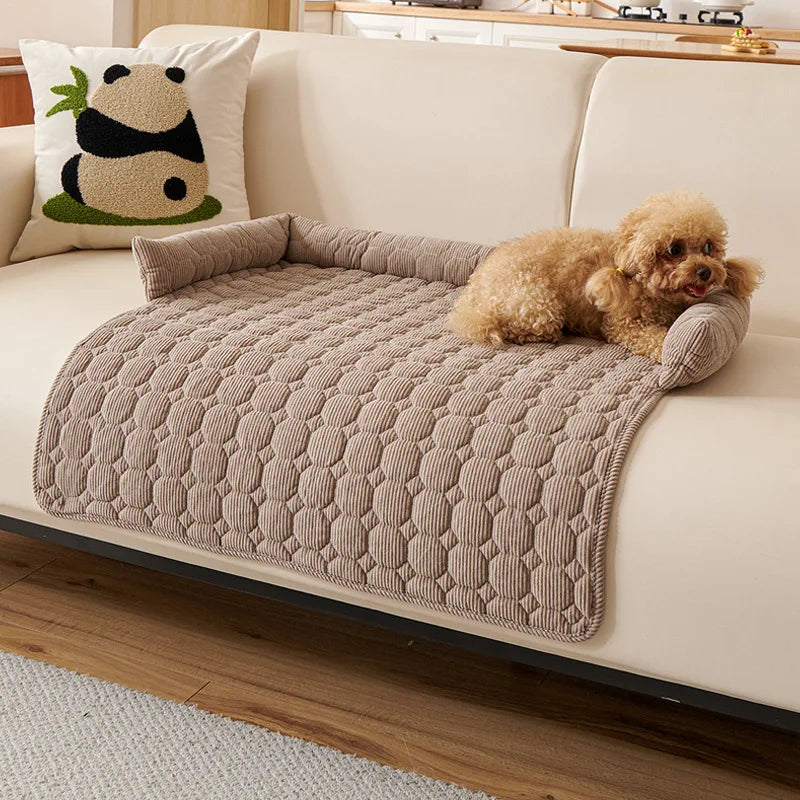 Coffee quilted sofa pad in a light taupe brown on a cream sofa, a small apricot poodle resting against the bolster