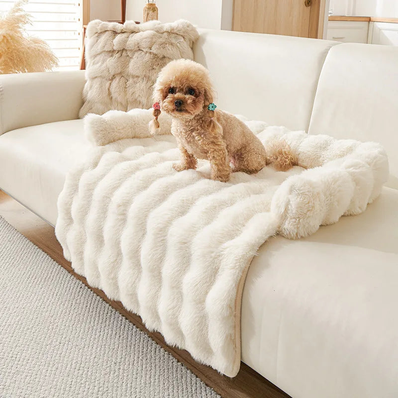 Cream faux fur sofa pad in ribbed long plush with a bolster, a small apricot poodle sitting on a cream sofa