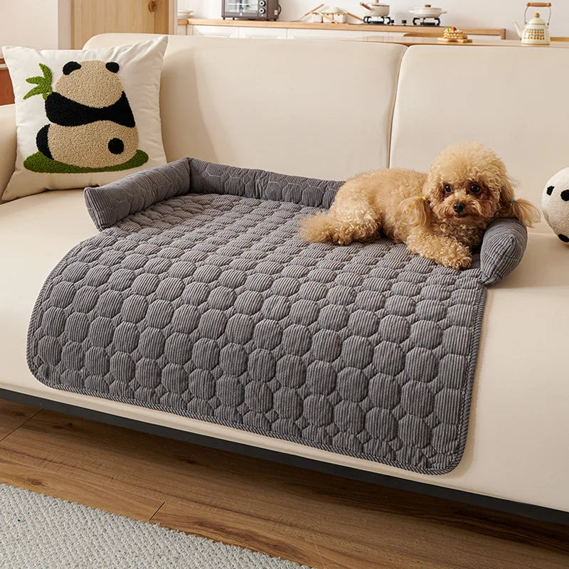 Dark grey quilted sofa pad on a cream sofa, a small apricot poodle lying with its head on the side bolster