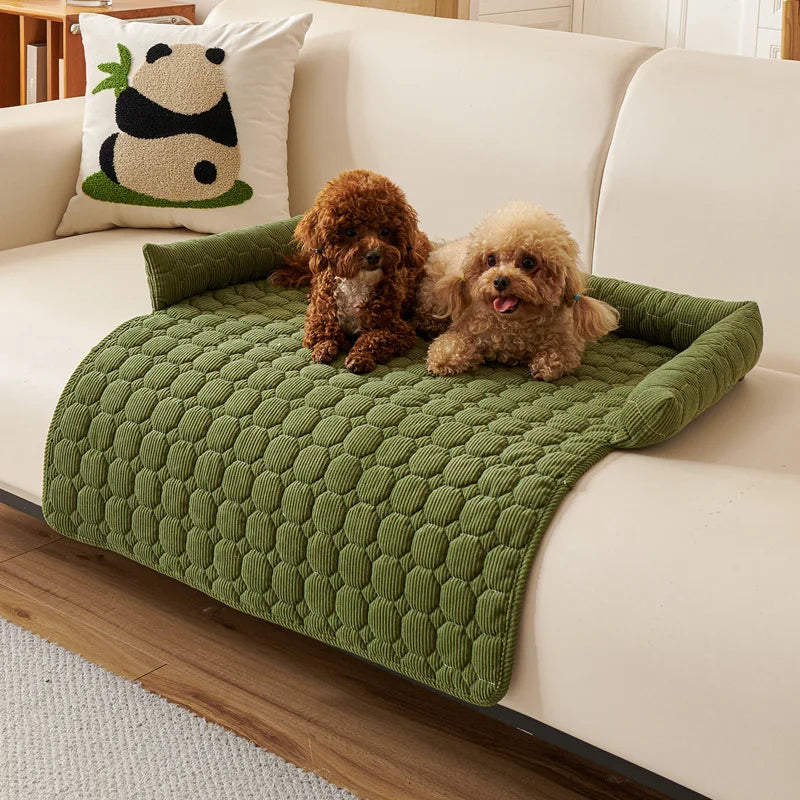 Green quilted sofa pad with bolsters on a cream sofa, a brown poodle and an apricot poodle lying side by side