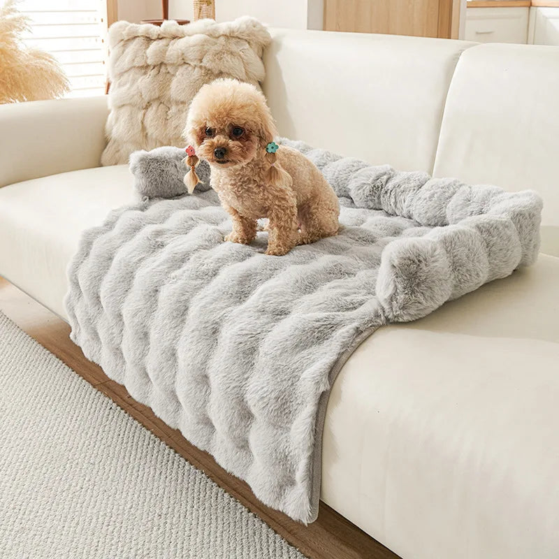 Light grey faux fur sofa pad in ribbed long plush with a bolster, a small apricot poodle on a cream sofa