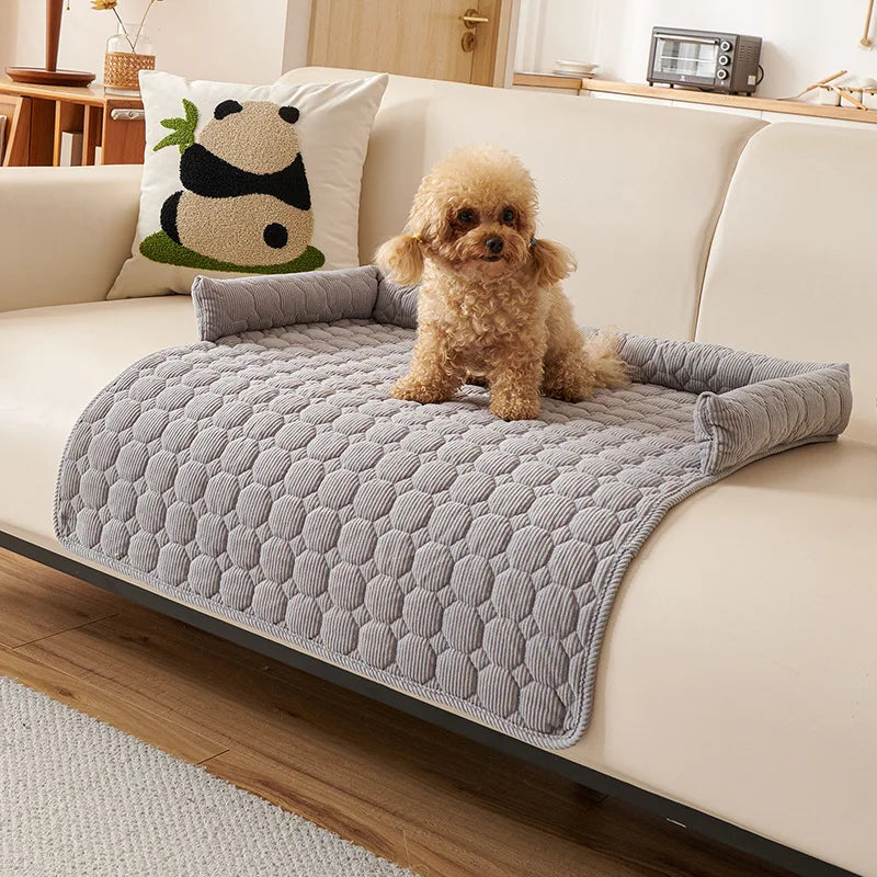 Light grey quilted sofa pad with bolsters on a cream sofa, a small apricot poodle sitting in the middle
