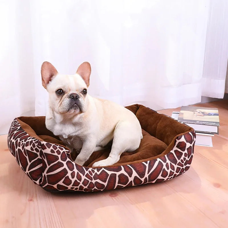 French bulldog sitting in the giraffe print rectangular bed with a brown velvet cushion, on a wooden floor