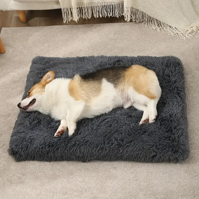 Corgi asleep on its side on a dark grey long plush dog bed mattress, laid on a beige rug