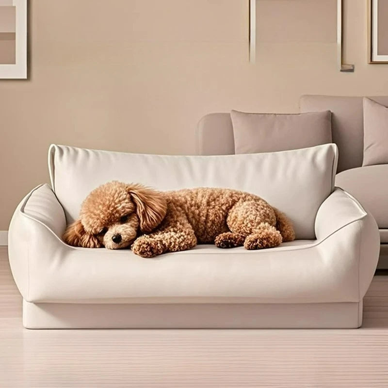 Curly apricot poodle asleep on a cream faux leather dog bed sofa in a beige living room