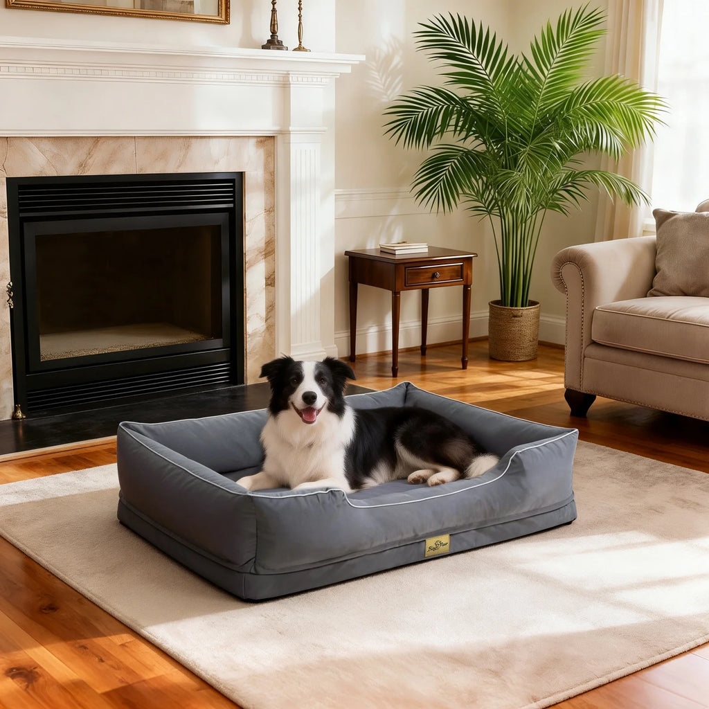 Black and white border collie lying in a grey bolster dog bed on a rug beside a fireplace