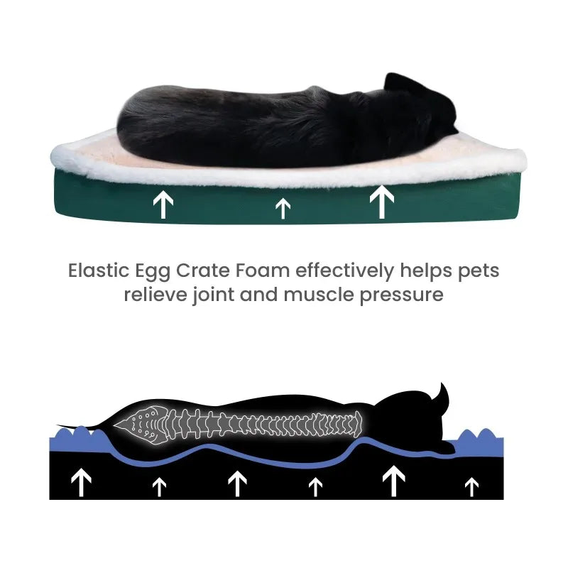 Diagram of a black dog asleep on the green-based crate bed, with arrows and a spine outline over the egg crate foam