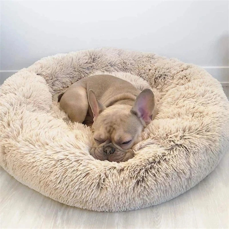 French bulldog asleep in a cream long-plush donut bed on a pale floor
