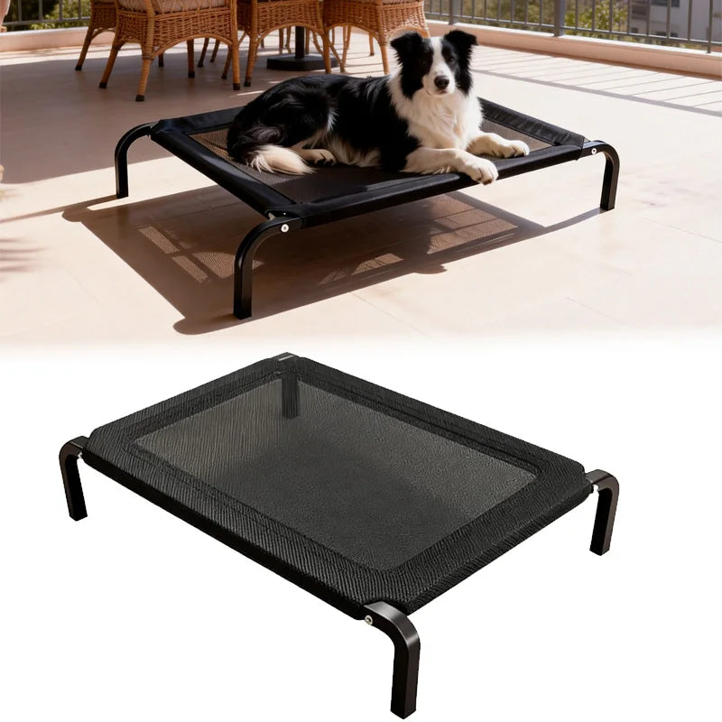 Border collie lying on the black elevated mesh bed on a sunny terrace, above a second view of the empty bed