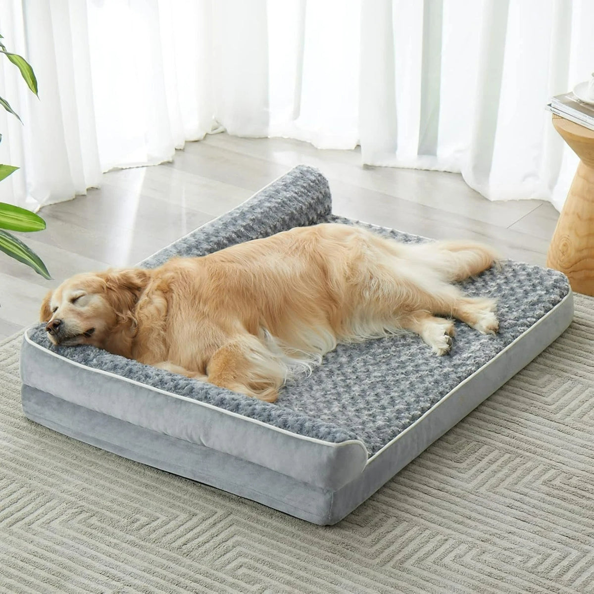 Golden retriever asleep on the grey sofa-style dog bed, head resting on the bolster, on a rug by white curtains