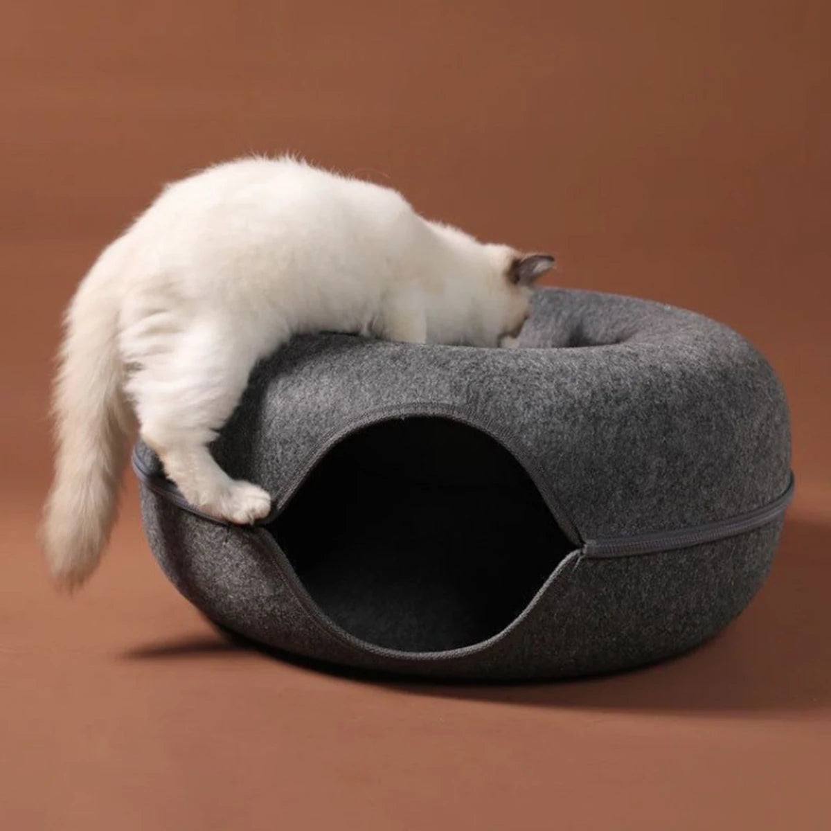 White cat climbing on top of a dark grey felt donut cat bed, peering into the hollow, on a brown backdrop