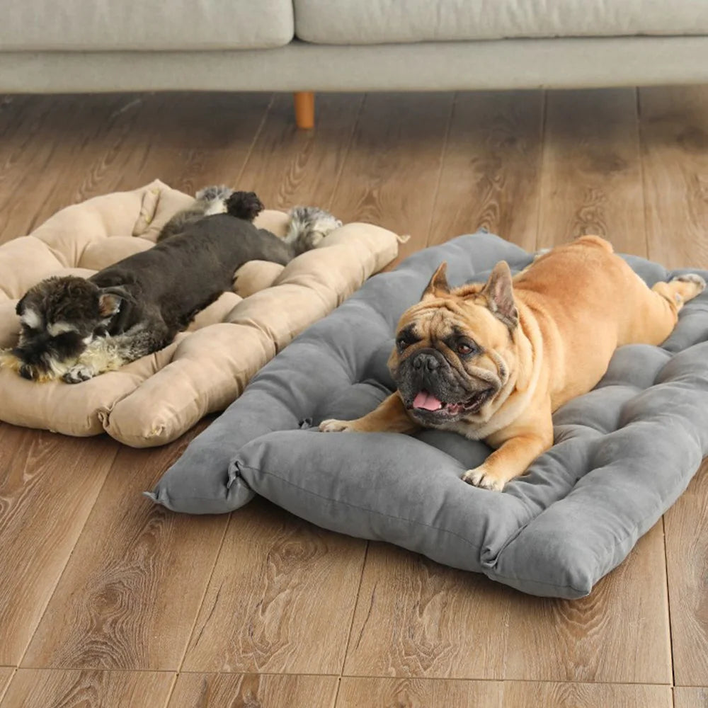 Two foldable dog beds opened out flat as mats, a schnauzer on the beige one and a French bulldog on the grey one