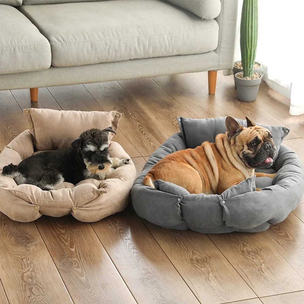 Schnauzer in a beige foldable dog bed and a French bulldog in a grey one, both set up as round beds on a wooden floor