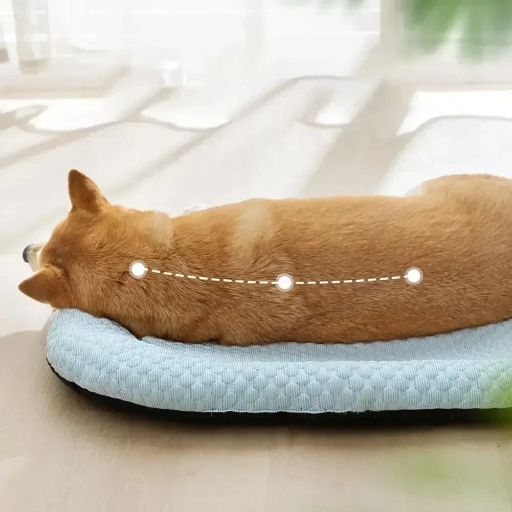 Ginger dog lying on the light blue ice silk bed by a window, a white dotted line drawn along its back