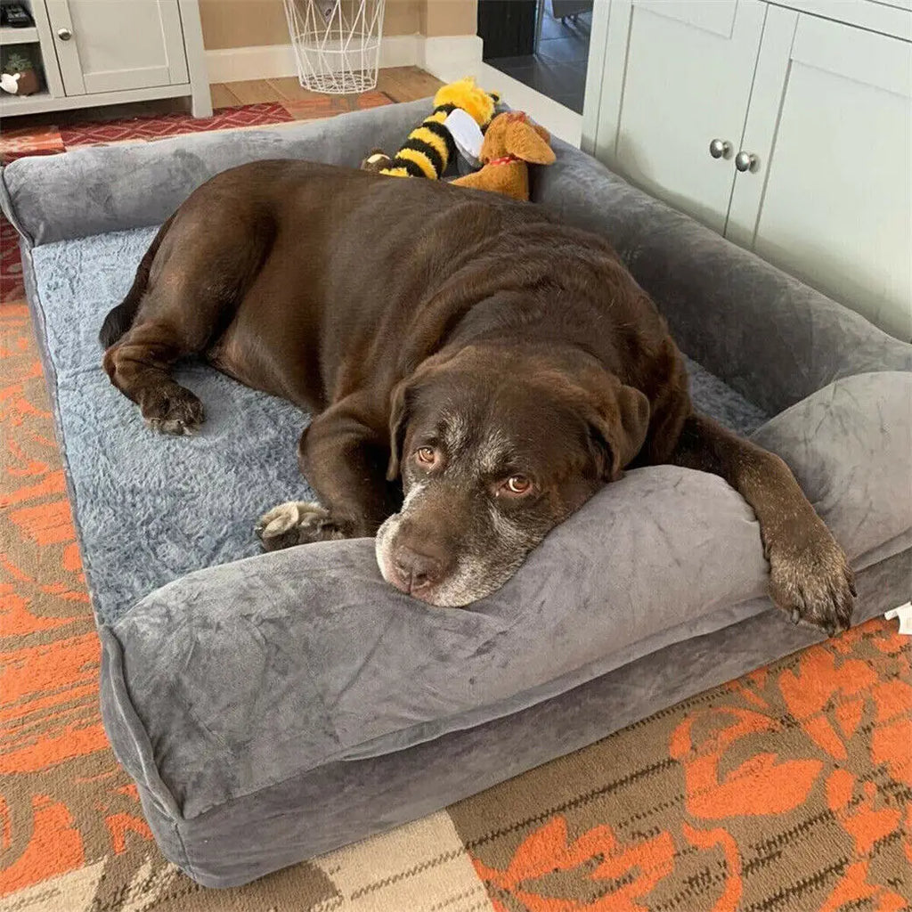 Chocolate labrador resting its chin on the bolster of a grey dog bed, soft toys behind it