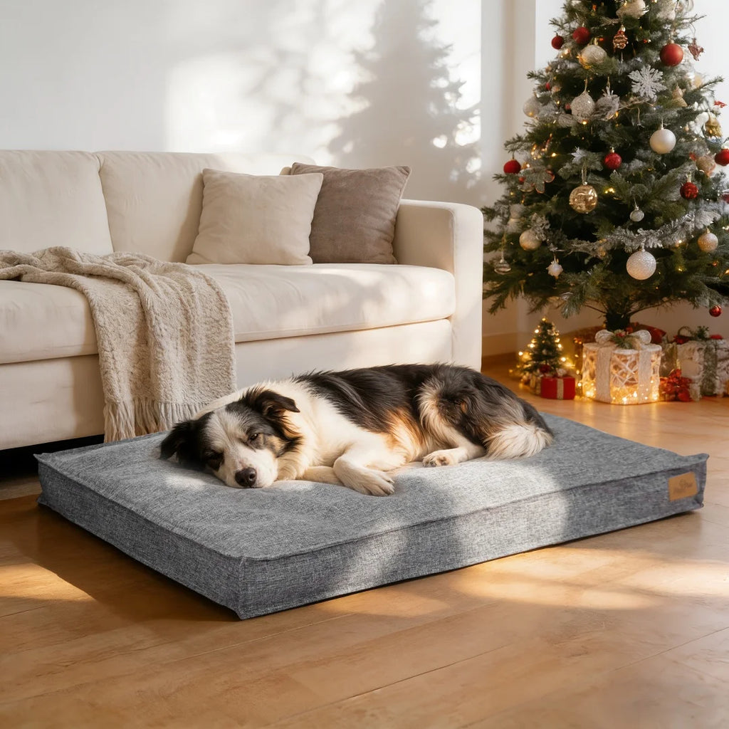 Black and white dog asleep on a grey linen-look mattress bed in a sunny living room beside a Christmas tree