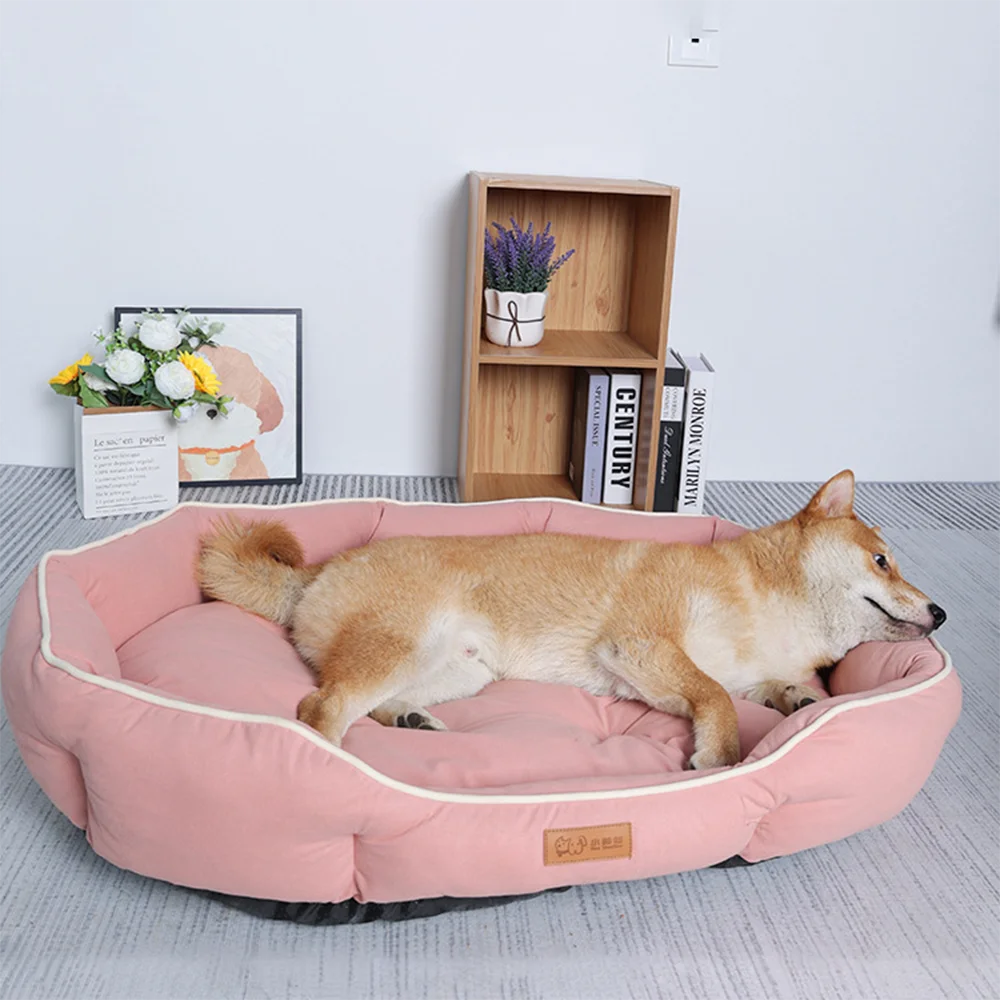 Shiba Inu stretched out asleep in a pink octagonal dog bed on a grey rug, with a wooden shelf behind