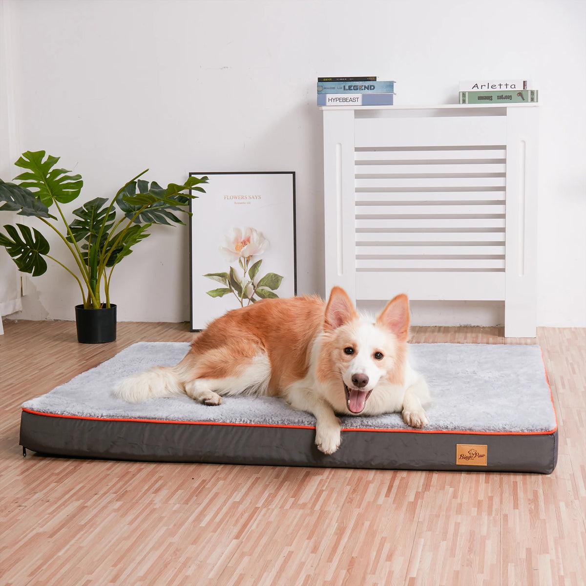 Ginger and white dog lying on a grey orthopaedic foam mattress bed on a wooden floor