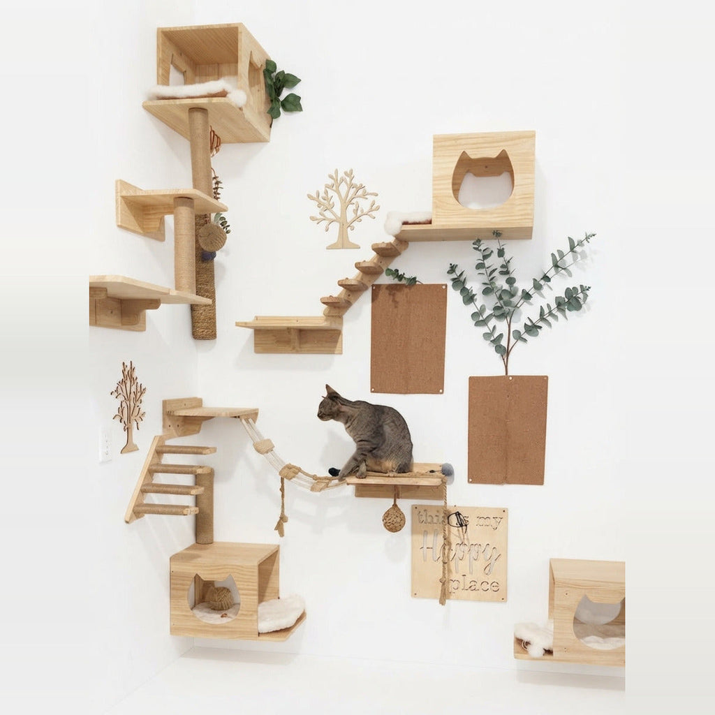 Scratching post cat tree on a white wall: cat houses, steps, a rope bridge and jute posts, a tabby cat sitting on a perch
