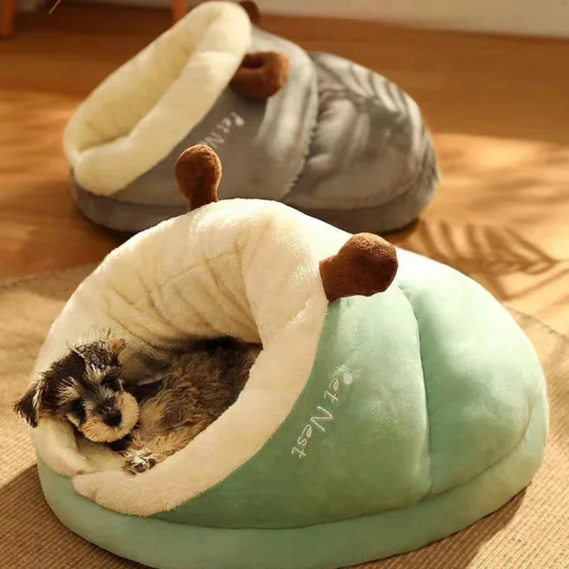Green slipper-shaped dog bed with a small grey and tan dog asleep inside, a grey one behind on a wooden floor
