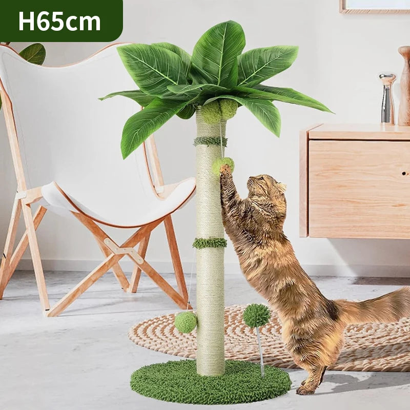 Palm tree cat scratch post, 65 cm high, with a long-haired tabby cat stretching up to scratch the sisal trunk