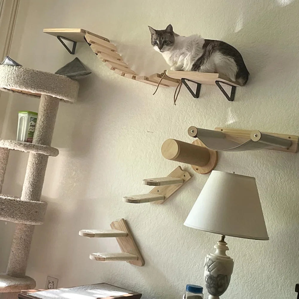 Grey and white cat resting on a wooden wall bridge, with a hammock, a sisal roller and steps below and a carpeted cat tree