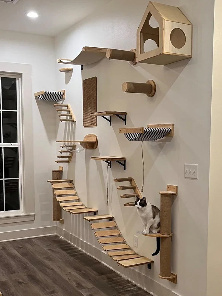 Long cat wall with wooden bridges, a cat house, hammocks, shelves and sisal posts, a black and white cat on a post platform