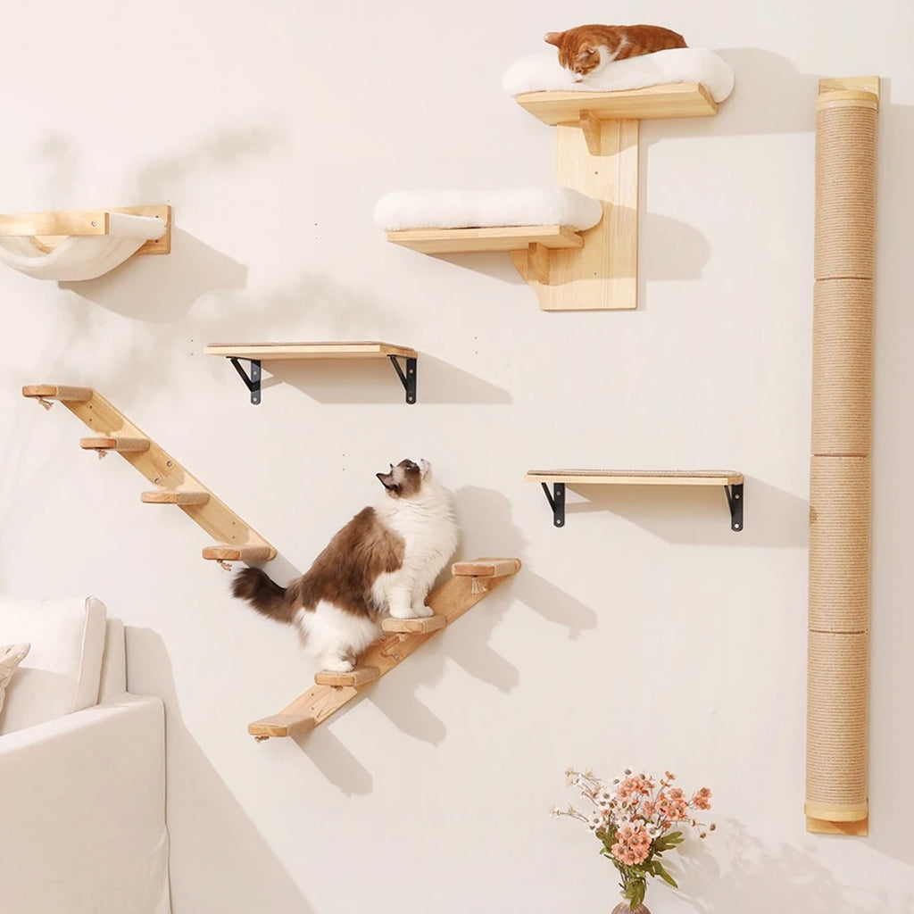 Wooden cat wall shelves, plush-topped perches and a sisal column, a fluffy brown and white cat on the ladder