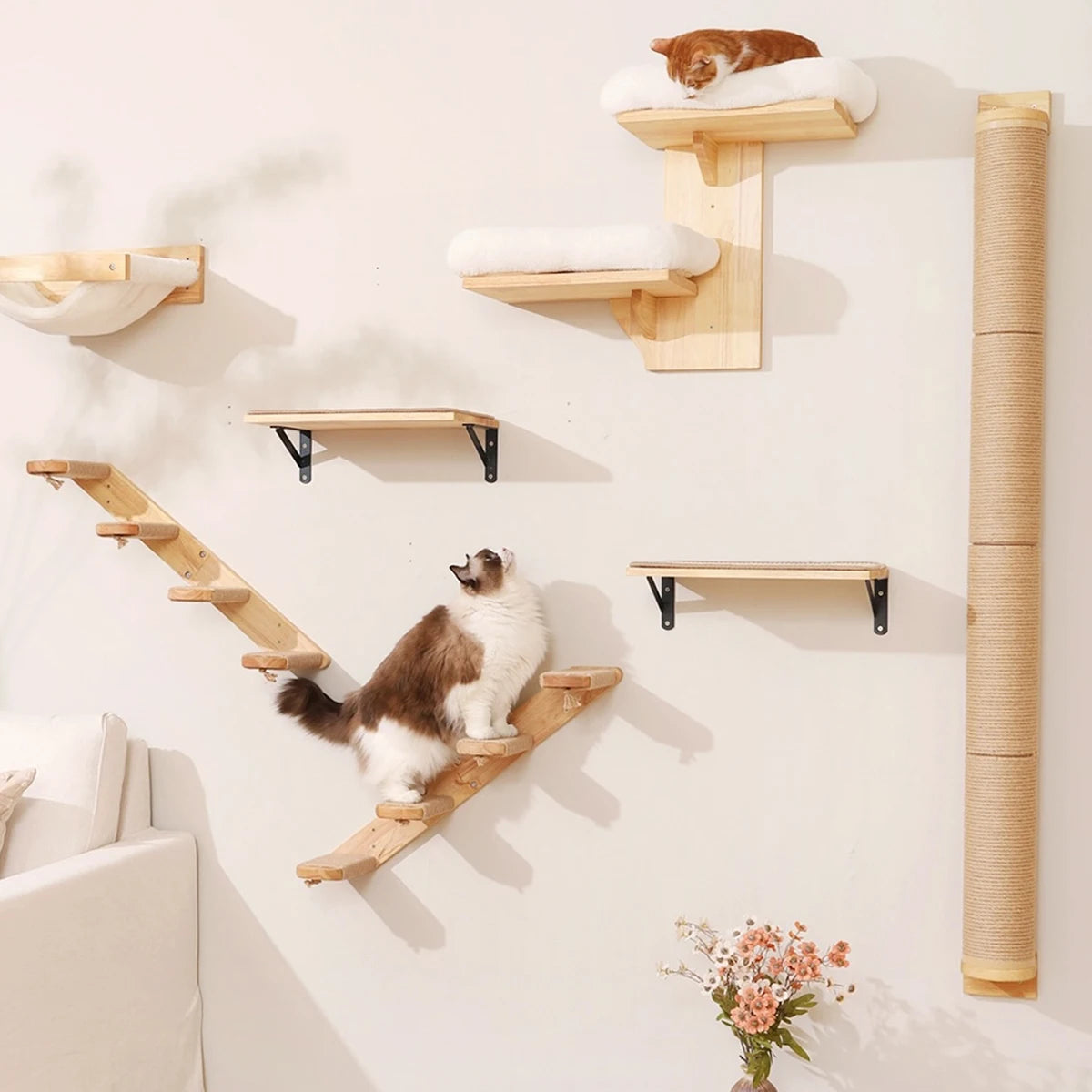 Wooden cat wall shelves, plush-topped perches and a sisal column, a fluffy brown and white cat on the ladder
