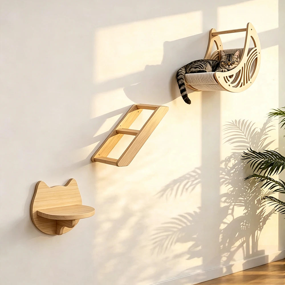 Wooden moon bed, ladder and cat-face shelf on a sunlit wall, a tabby cat asleep in the moon bed
