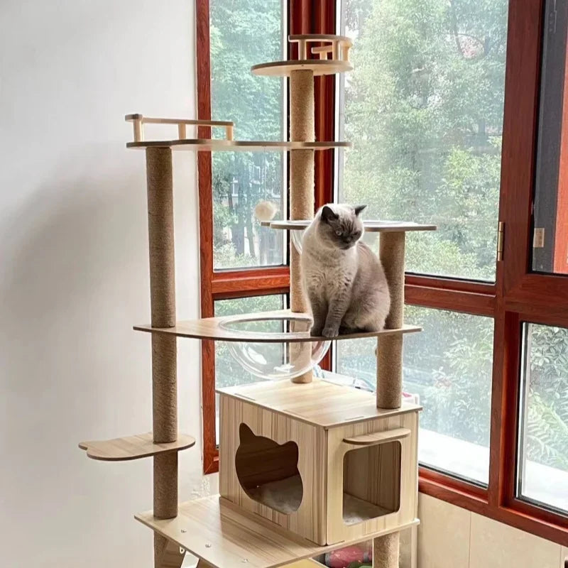 Grey cat sitting on a platform of a tall wooden cat tree with a cat house and bubble bed, next to a large window